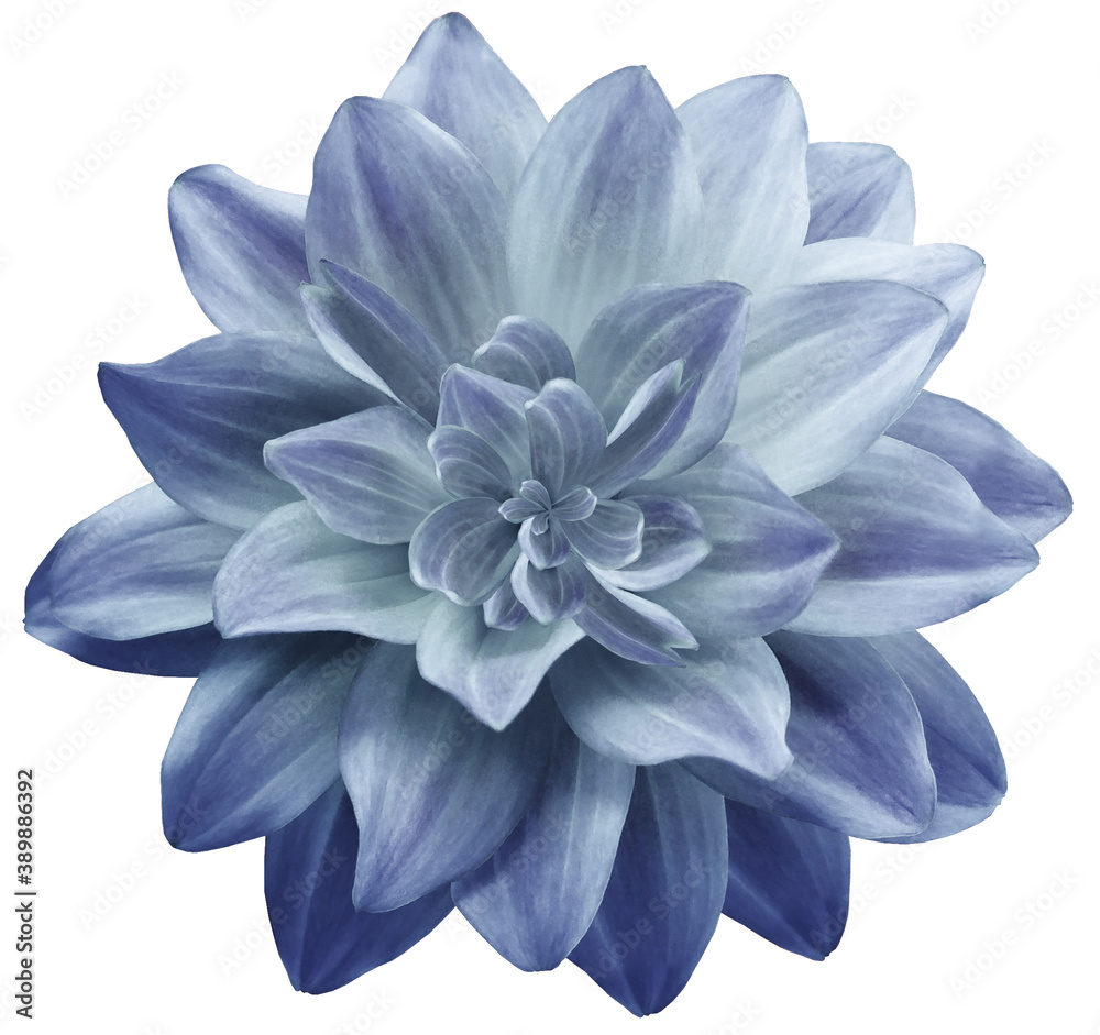 Blog Images